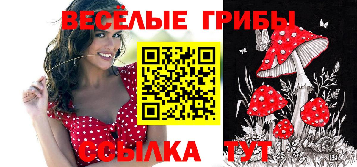 Сосновоборск  Галлюциногенные грибы прущие грибы  Вход с VPN 