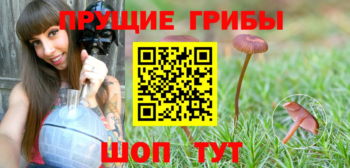 Галлюциногенные грибы мицелий Сосновоборск